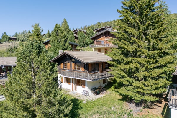 Reizendes Ferienchalet mit viel Ambience in Bürchen 1