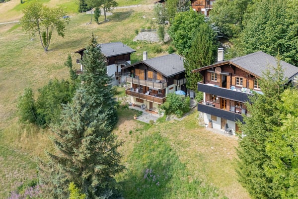 1.5-Zimmerwohnung im Chalet Aux Etoiles in Bellwald 2