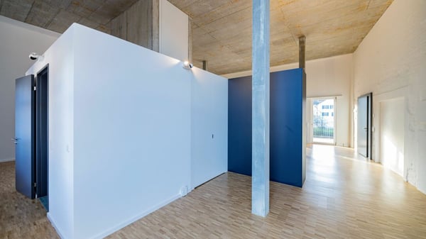 Überhohe Loft (100m2) in der Bruggmühle 2