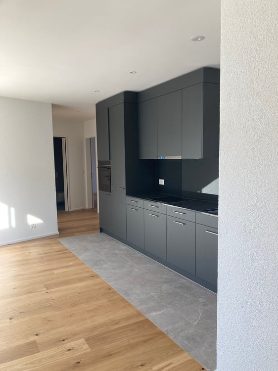 Moderne 3.5-Zimmer-Attika -Wohnung mit Bergblick in Waldenburg 4