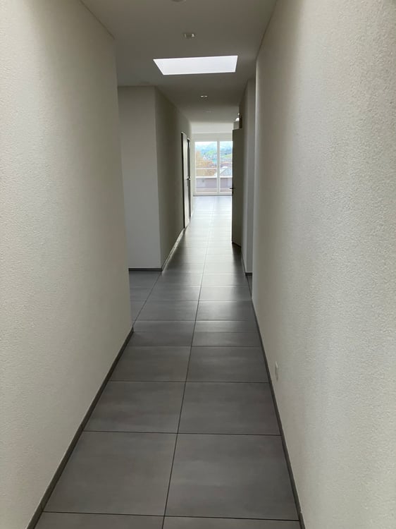 Grosszügige 7.5-Zimmer-Dachwohnung mit Panoramablick in Auw 5