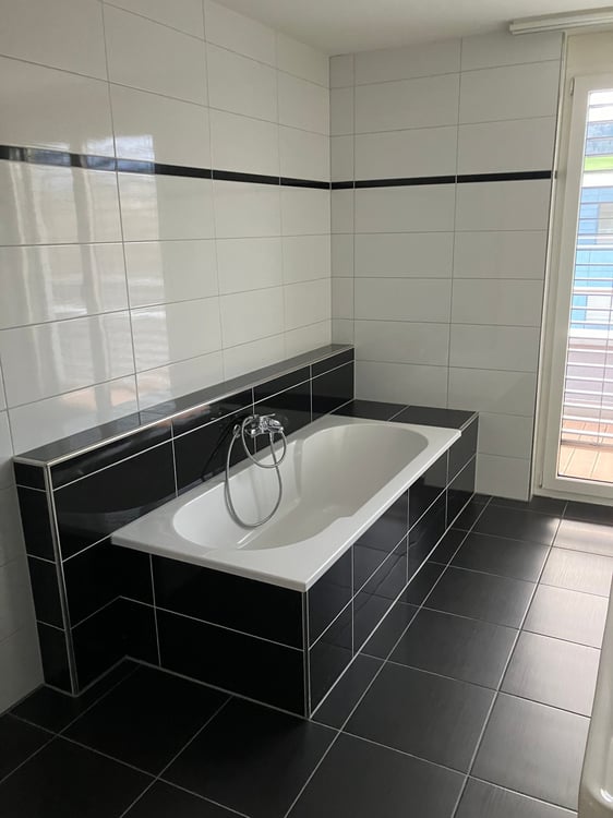 Grosszügige 7.5-Zimmer-Dachwohnung mit Panoramablick in Auw 11