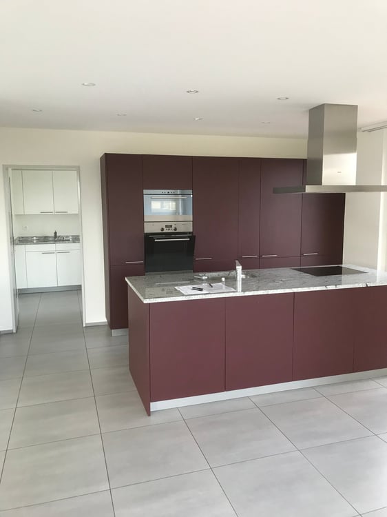 Grosszügige 7.5-Zimmer-Dachwohnung mit Panoramablick in Auw