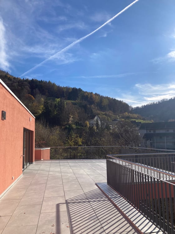 Letzte  2.5-Zimmer-Attika -Wohnung mit Bergblick in Waldenburg 5