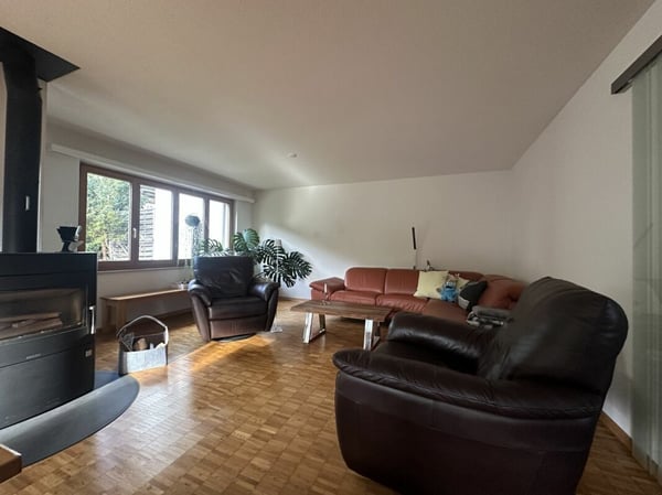 1 ½-Zimmer-Einfamilienhaus für aktive Personen an idyllischer Lage in Gams 3