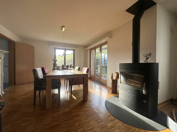 1 ½-Zimmer-Einfamilienhaus für aktive Personen an idyllischer Lage in Gams 4