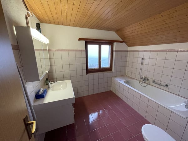 1 ½-Zimmer-Einfamilienhaus für aktive Personen an idyllischer Lage in Gams 8