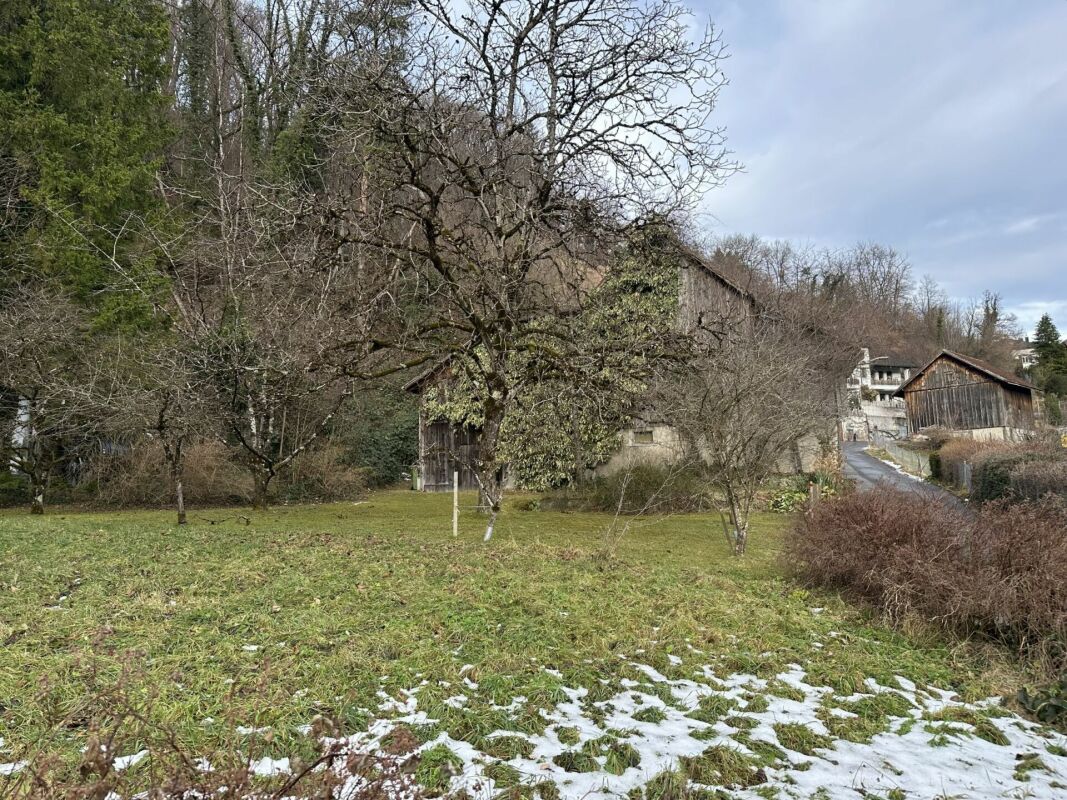 787 m2 Bauland in der Dorfkernzone Sevelen mit altem Wohnhaus und Scheune