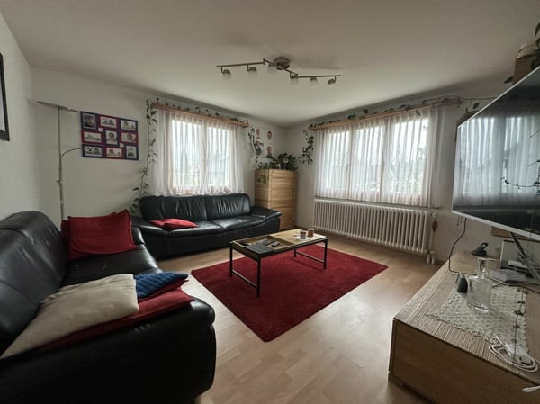 charmantes 5 1/2 Zi-Einfamilienhaus an idyllischer Wohnlage im Grünen 2