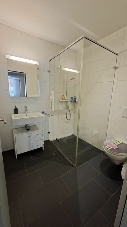 grosszügige 4 ½-Zi.-Eigentums-Gartenwohnung an schöner Wohnlage Buchs-Räfis 7