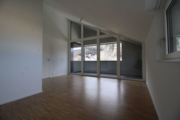 coole 2.5 Zimmer-Dachwohnung 4