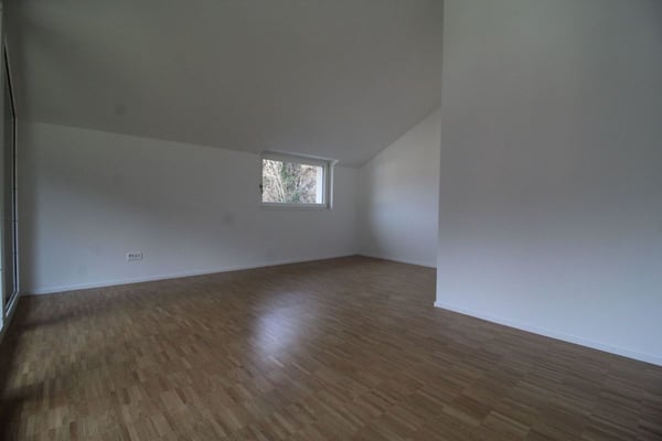 coole 2.5 Zimmer-Dachwohnung 3