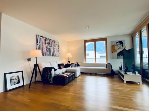 sonnige, attraktive 4.5-Zimmer-Wohnung 2