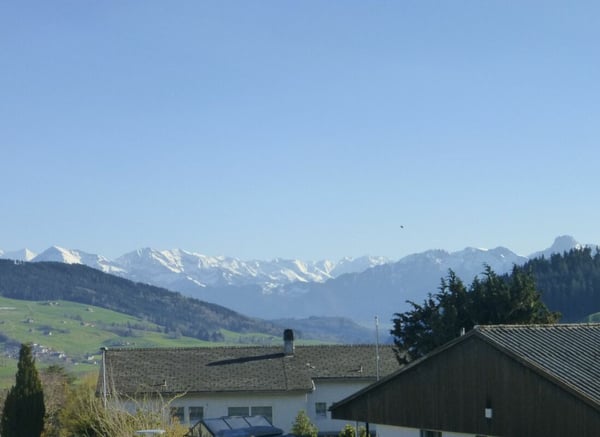 6.5-Zimmer Doppeleinfamilienhaus 7