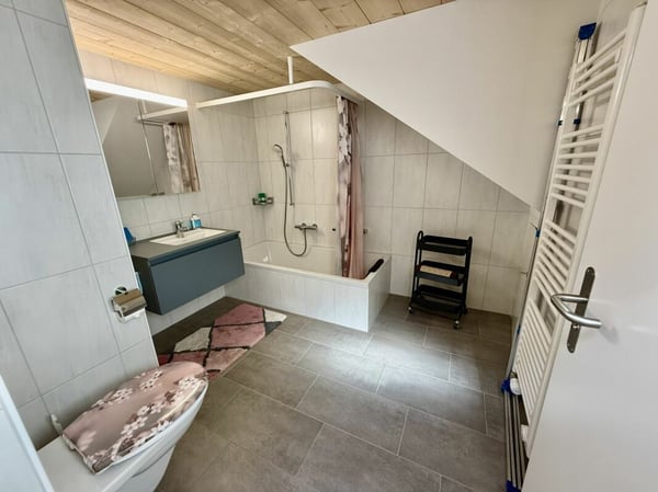 Saniertes ehemaliges Bauernhaus (DEFH) 15