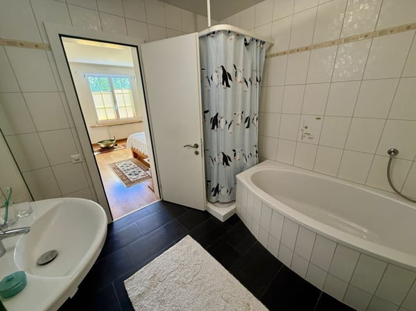 7.5-Zimmer Landhaus, Seesicht oberhalb der Nebelgrenze 19
