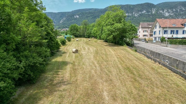 1'691 m² Landparzelle in Langendorf 6