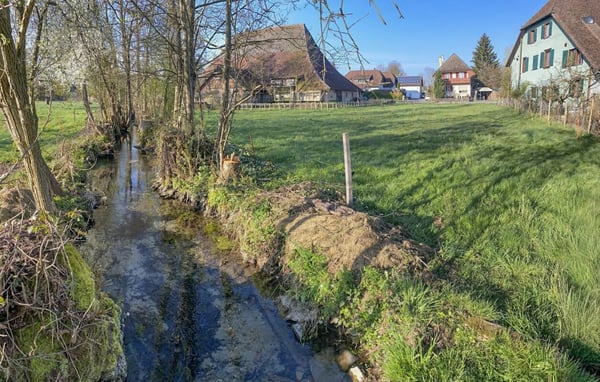 Grosses Bauernhaus direkt am Bach mit Landparzelle und Ausbaupotenzial 18