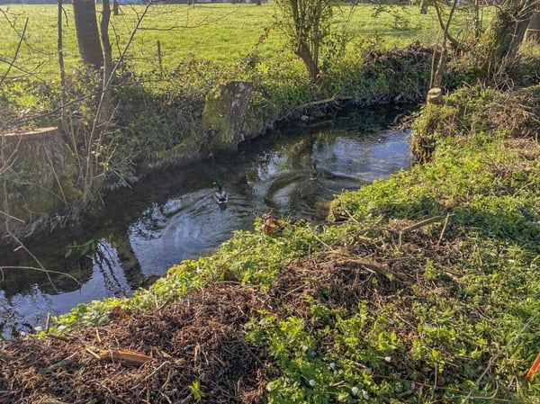 Grosses Bauernhaus direkt am Bach mit Landparzelle und Ausbaupotenzial 17