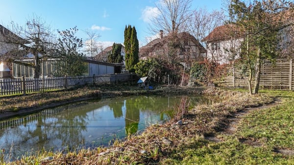 Ihr Rückzugsort mit Wintergarten, Teich und vielseitigem Nebenhaus 24