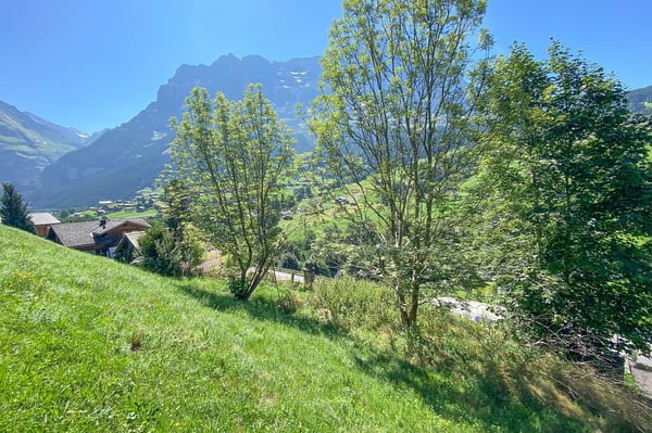 Baugrundstück mit grossartiger Aussicht 3