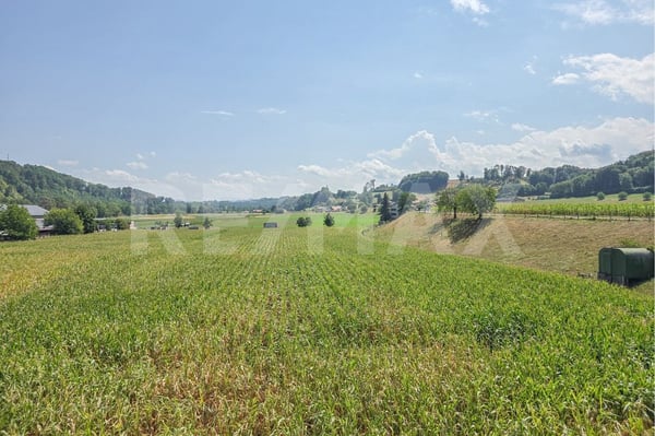 Sonnige Aussichten, viel Ruhe und ein Zuhause zum Wohlfühlen 9