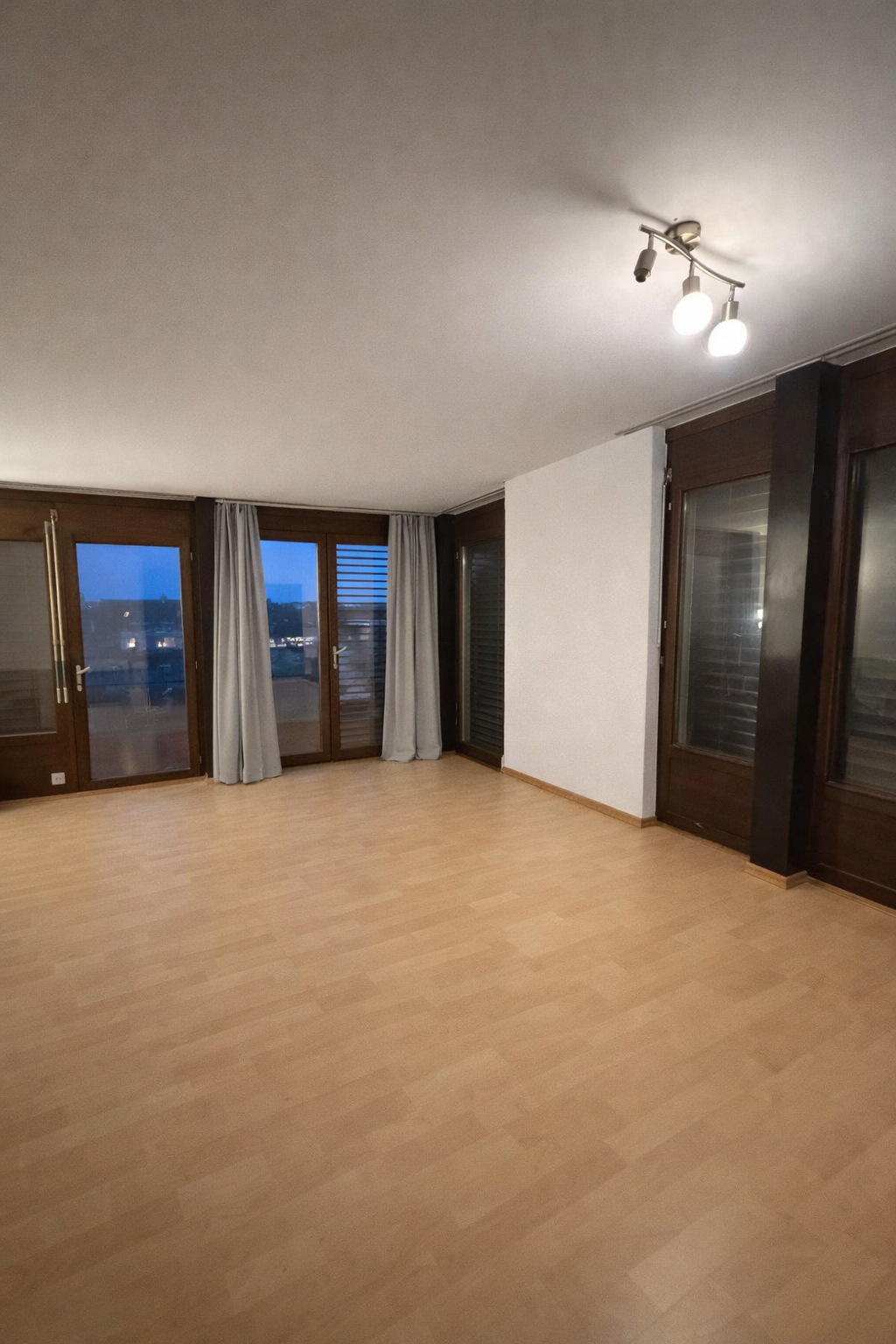 open space, large windows, balcony, hardwood floor