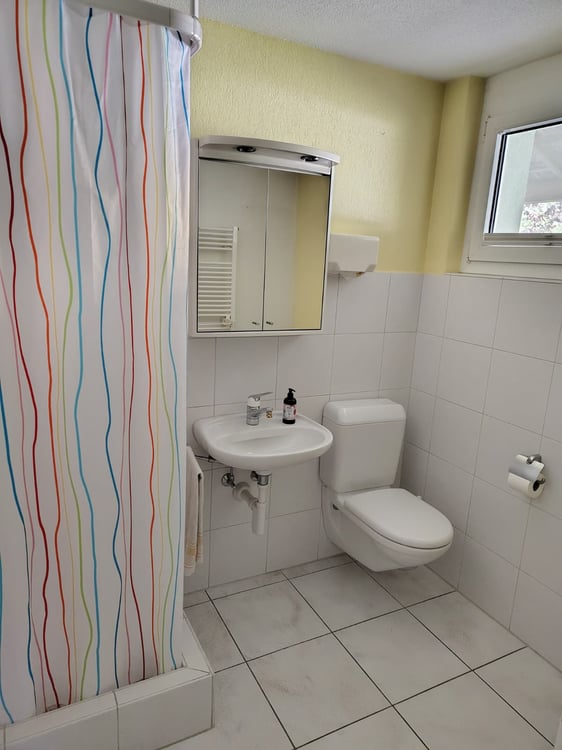 Geräumiges 7.5-Zimmer-Doppeleinfamilienhaus in Urtenen-Schönbühl 13
