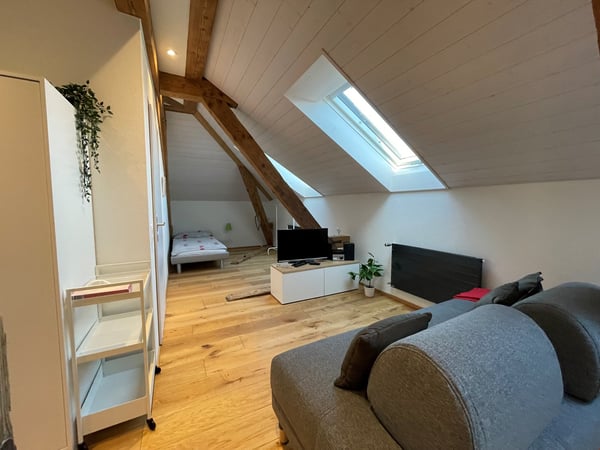 Aussergewöhnliche möblierte Dachwohnung, geeignet für Kurzmiete... 4