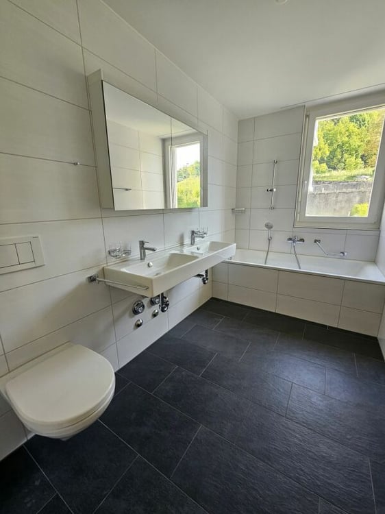 Attraktive 1.5 Zimmer-Attikawohnung mit grosser Terrasse 41m2 4