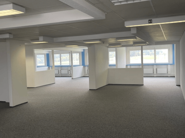 Attraktive Bürofläche mit herrlicher Alpensicht 665 m2 2