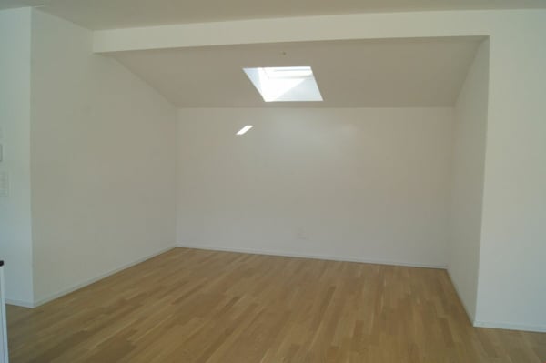 5.5 Zimmer Attikawohnung mit Süd-Terrasse 5