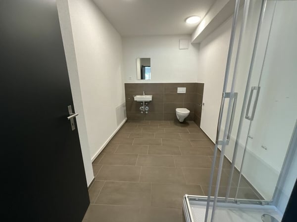 2.5 Zimmerwohnung in Loft-Style 9