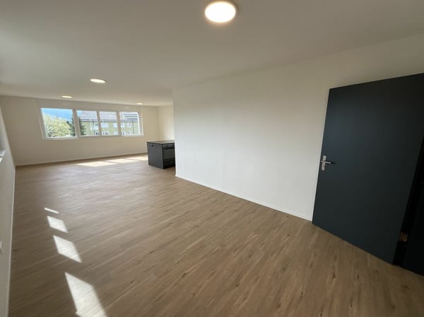 2.5 Zimmerwohnung in Loft-Style 4