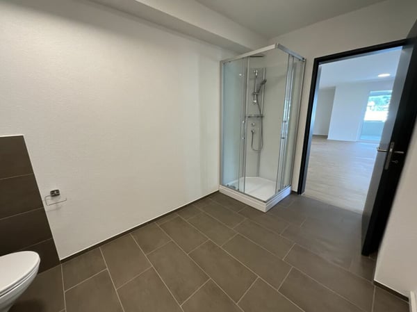 2.5 Zimmerwohnung in Loft-Style 10