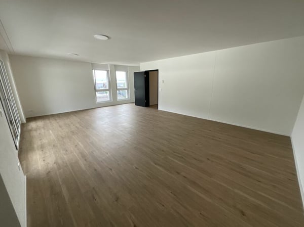 2.5 Zimmerwohnung in Loft-Style 6