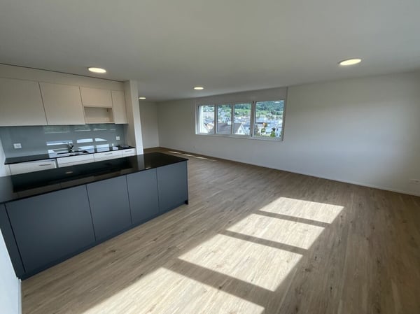 2.5 Zimmerwohnung in Loft-Style 2