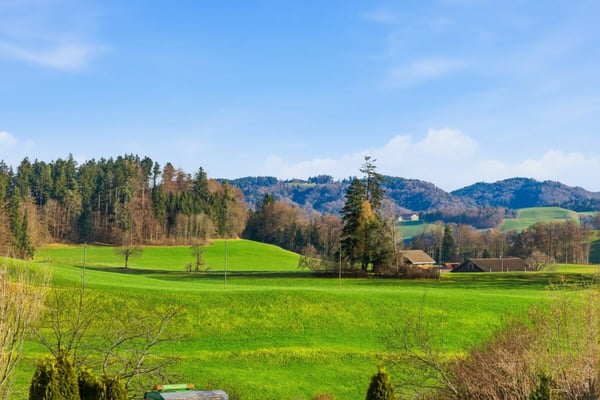 Idyllisches und ländliches Wohnen - 1.5 ZWG zu vermieten! 15