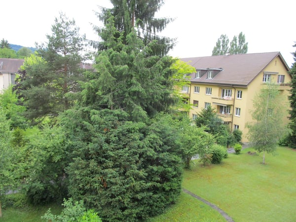 Charmante 3.5-Zimmer-Wohnung mit Balkon in Bern 10
