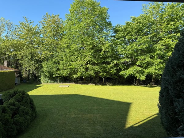 3-Zimmer-Wohnung im Hochparterre 11