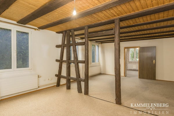 2 Familienhaus mit 11 Zimmer und 4 Garagenplätzen 4