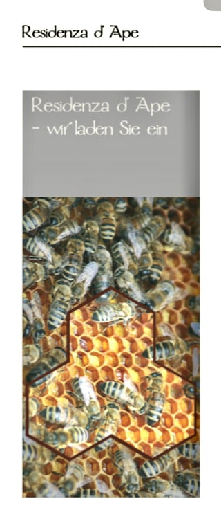 Wohnen im Alter und schon zuvor..... 5