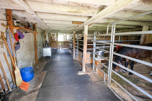 Bauernhaus mit 2 Wohnungen auf 3'935 m2 10
