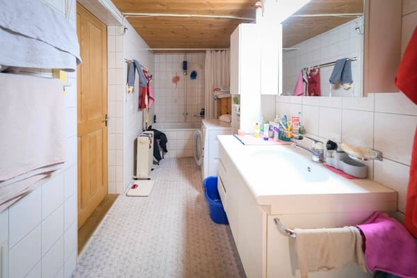 Bauernhaus mit 2 Wohnungen auf 3'935 m2 7