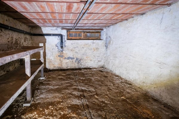Bauernhaus mit 2 Wohnungen auf 3'935 m2 11