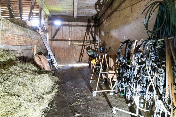 Bauernhaus mit 2 Wohnungen auf 3'935 m2 12