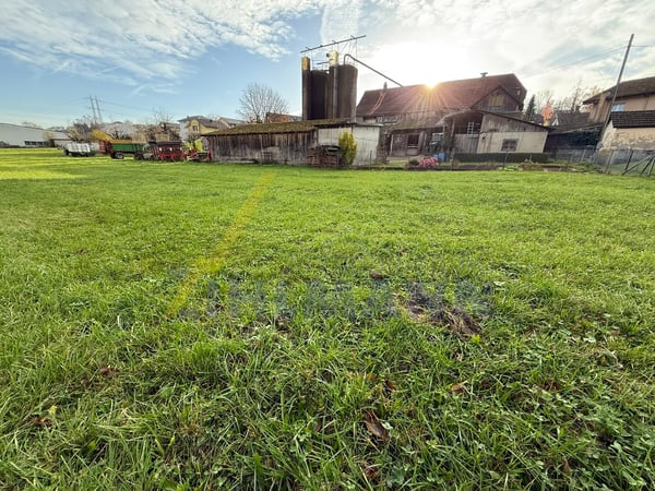 Grosszügiges Bauland mit Bauernhaus 4