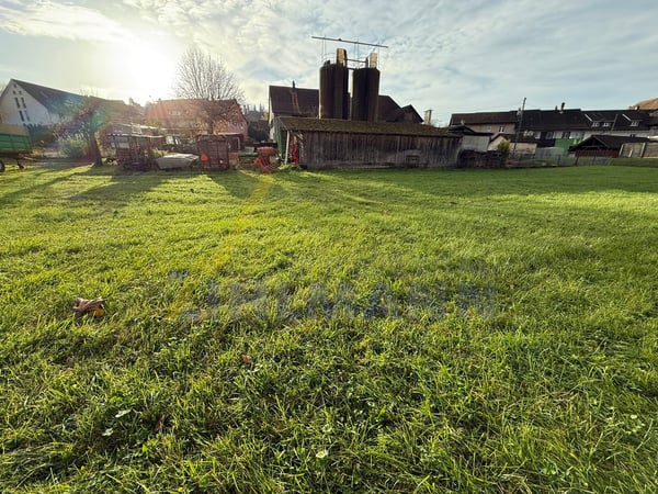 Grosszügiges Bauland mit Bauernhaus 5