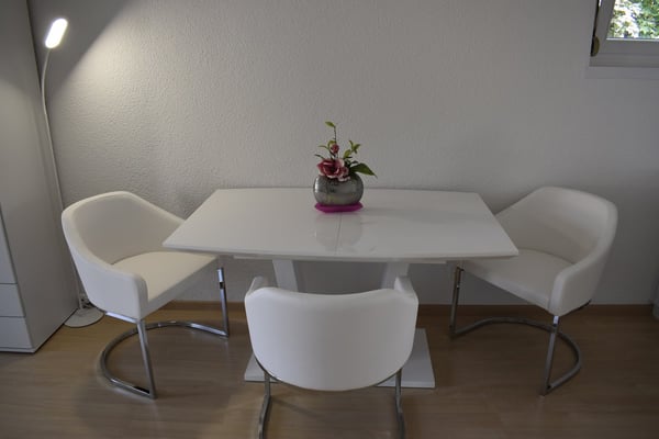 2.5-Zimmer-Wohnung mit Balkon - möbliert - in Dällikon Zürich 8