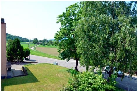 2.5-Zimmer-Wohnung mit Balkon - möbliert - in Dällikon Zürich 13